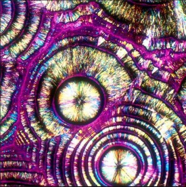 Alcoholic drinks under the microscope